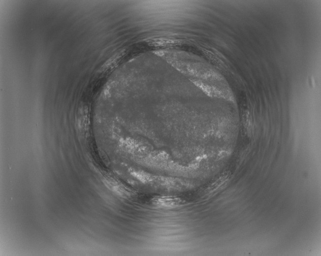 X0000055980372200509091959