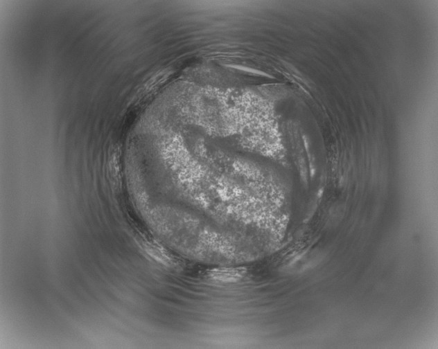 X0000055980373200509091959