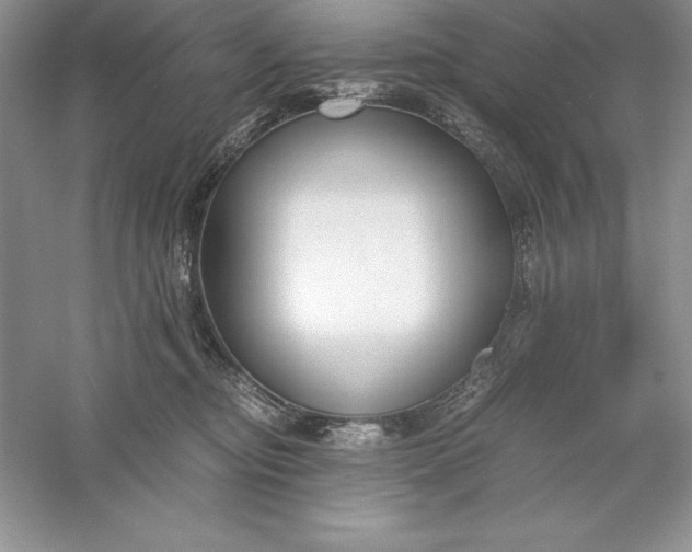 X0000055980374200509091959