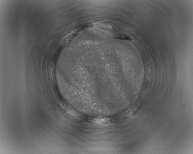 X0000055980375200509091959