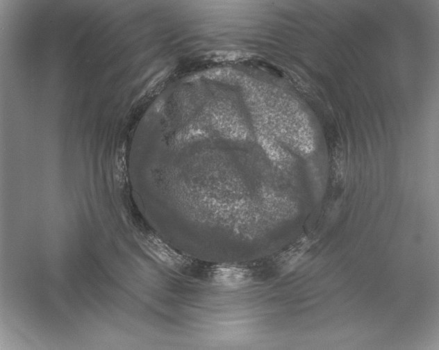 X0000055980376200509091959