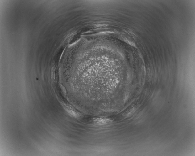 X0000055980379200509091959