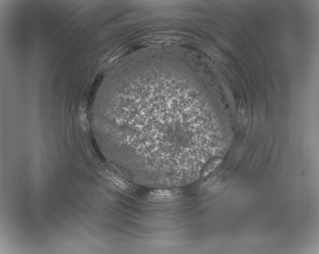 X0000055980381200509091959