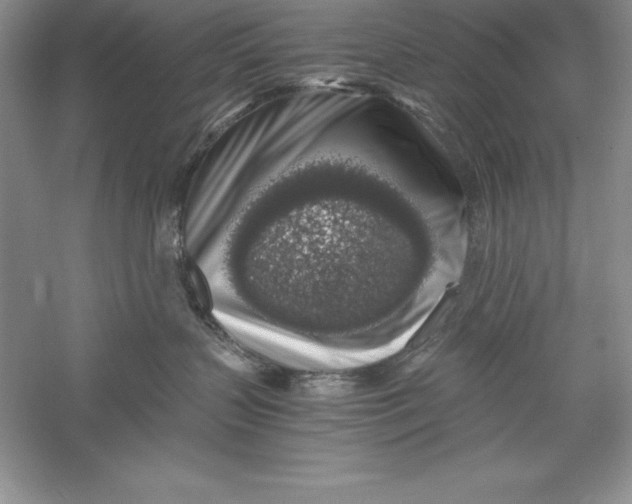 X0000055980383200509091959