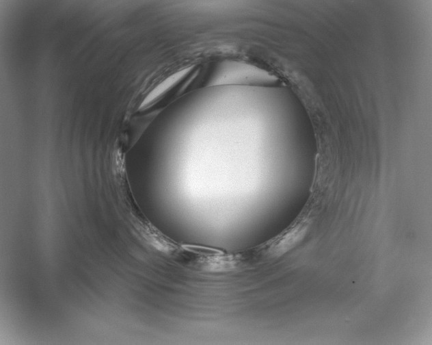 X0000055980384200509091959