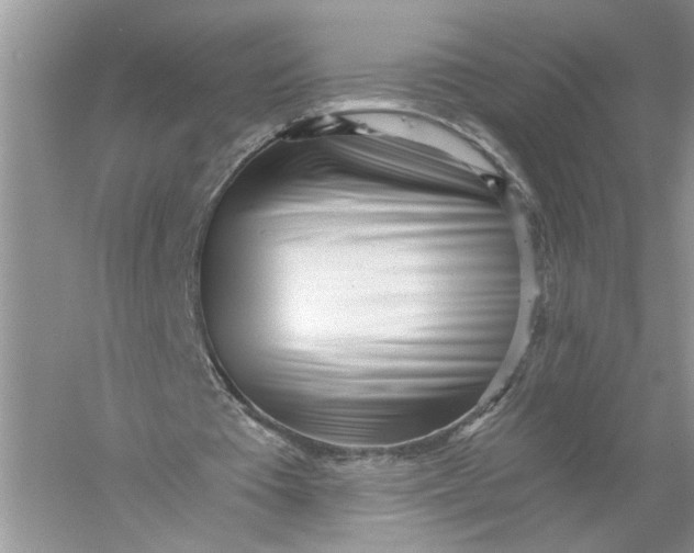 X0000055980385200509091959