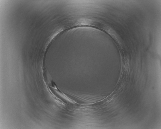 X0000055980386200509091959