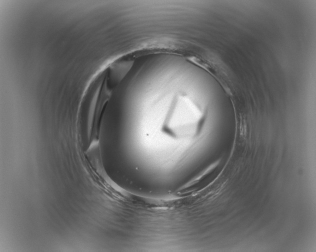 X0000055980388200509091959