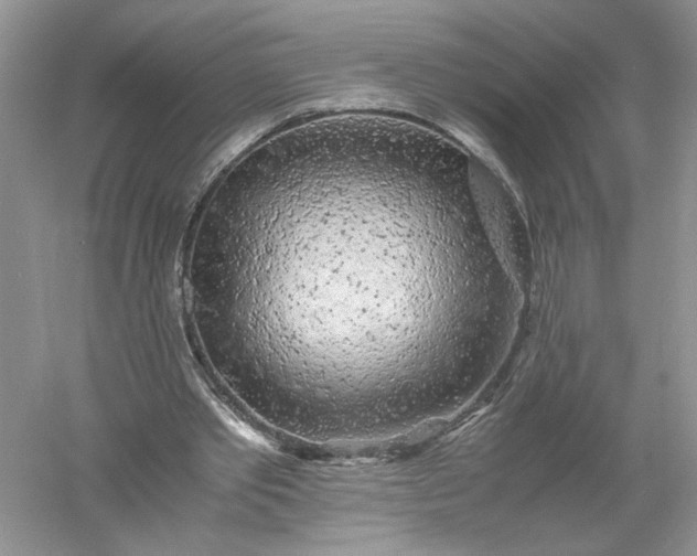 X0000055980389200509091959