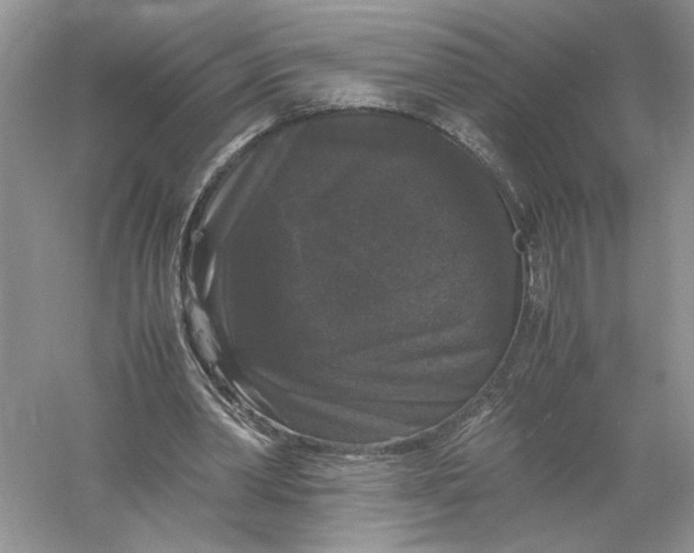 X0000055980390200509091959