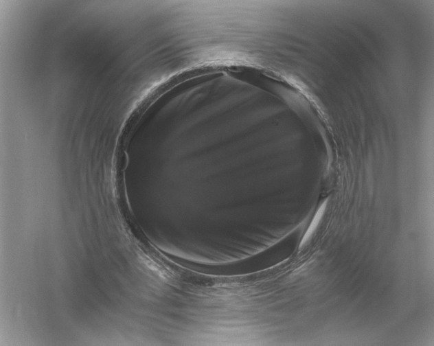 X0000055980391200509091959