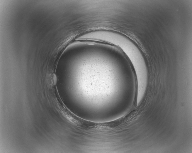 X0000055980393200509091959