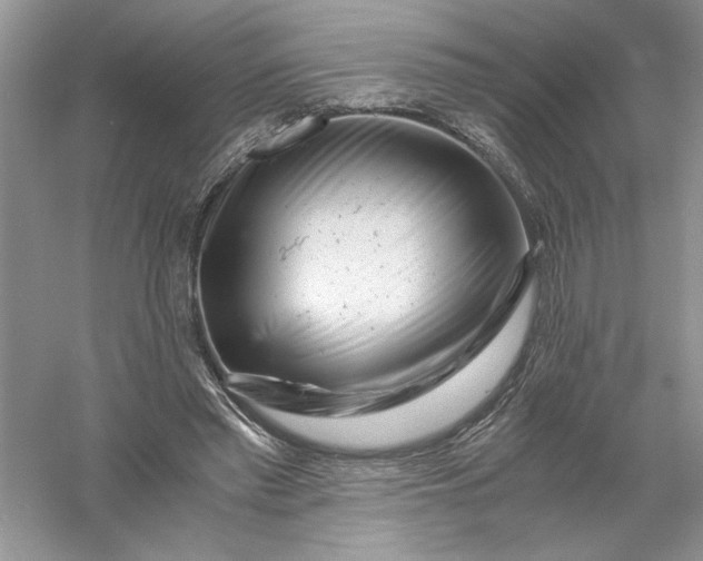 X0000055980397200509091958