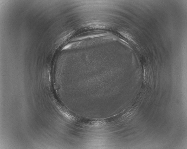 X0000055980398200509091958