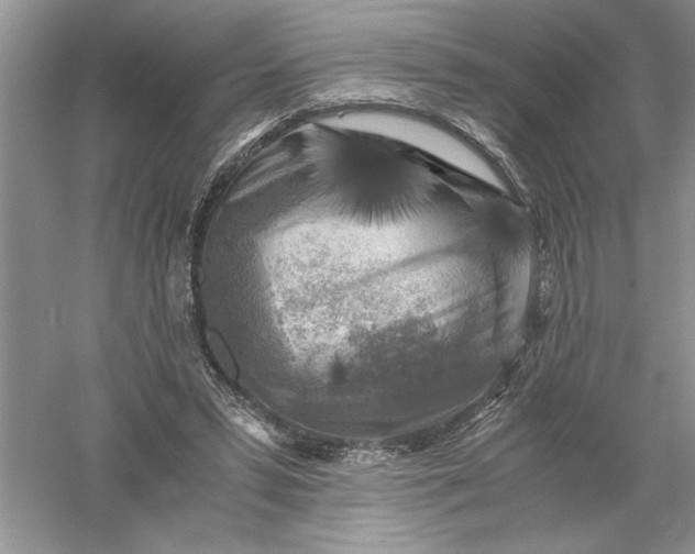 X0000055980399200509091958