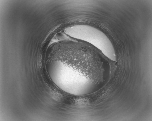 X0000055980400200509091958