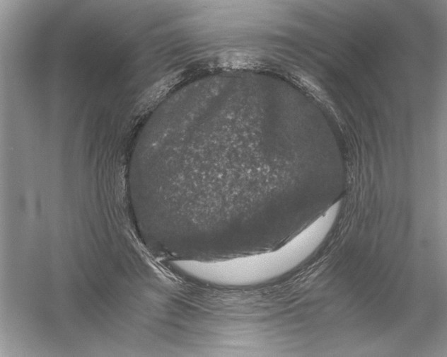 X0000055980401200509091958