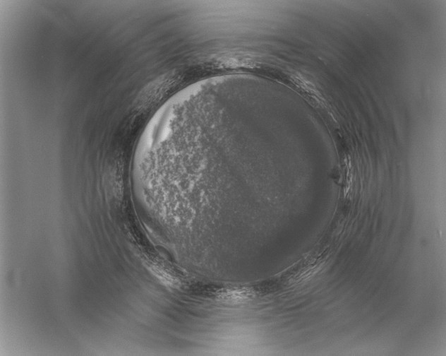 X0000055980402200509091958