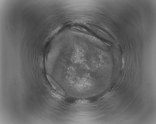 X0000055980403200509091958