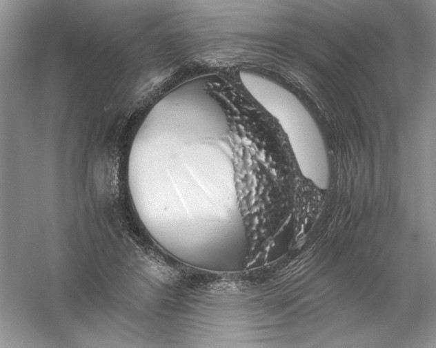 X0000055980404200509091958