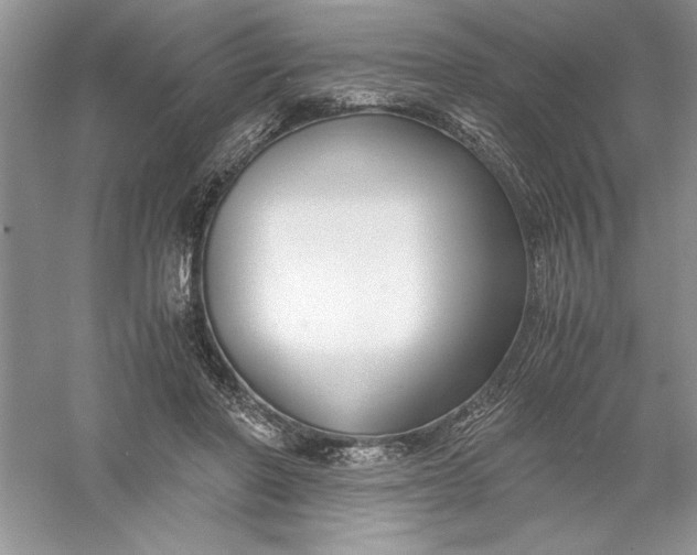 X0000055980406200509091958