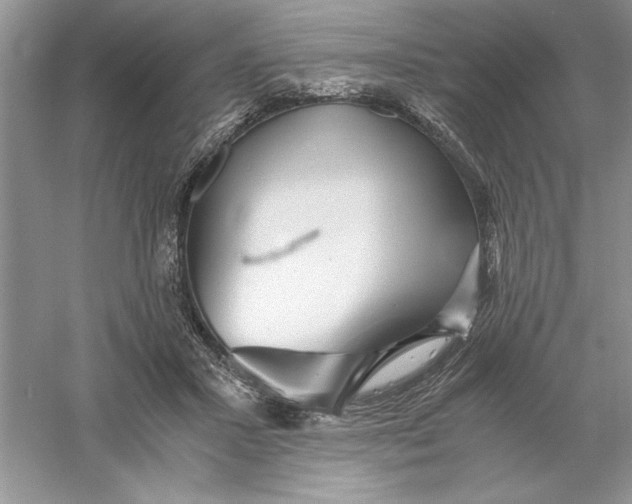 X0000055980407200509091958