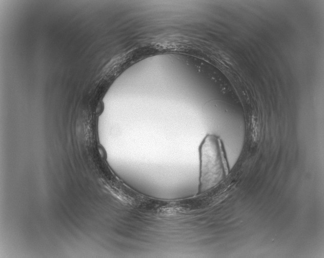 X0000055980408200509091958