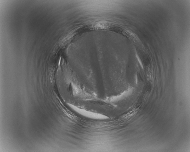 X0000055980409200509091958