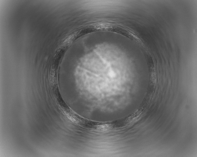 X0000055980411200509091958