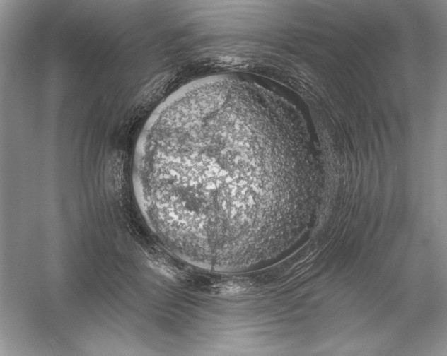 X0000055980412200509091958