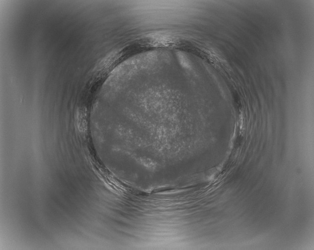 X0000055980413200509091958