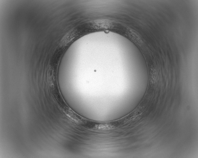 X0000055980414200509091958