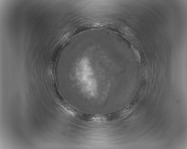 X0000055980415200509091958