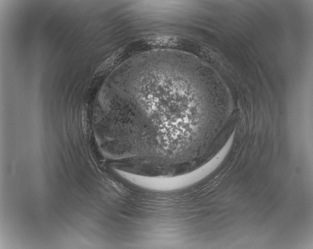 X0000055980416200509091958