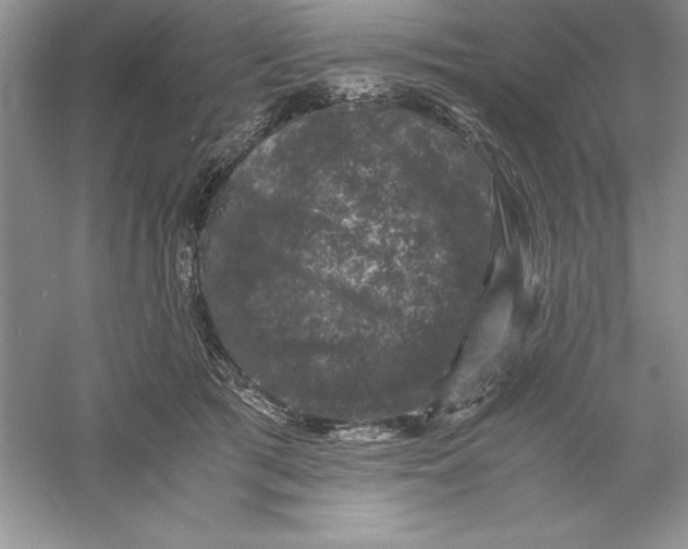 X0000055980417200509091958