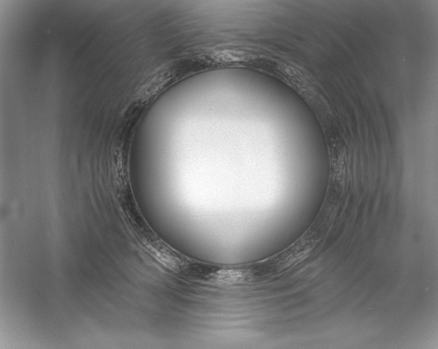 X0000055980418200509091958