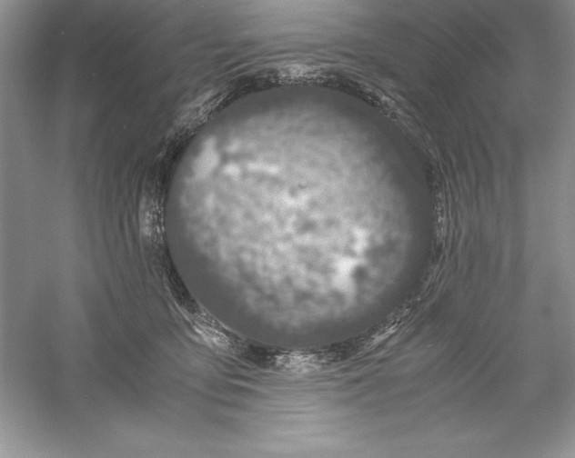 X0000055980419200509091958