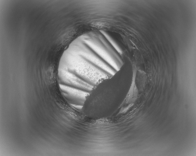 X0000055980420200509091958