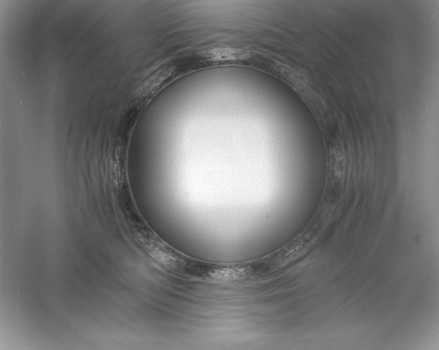 X0000055980422200509091958