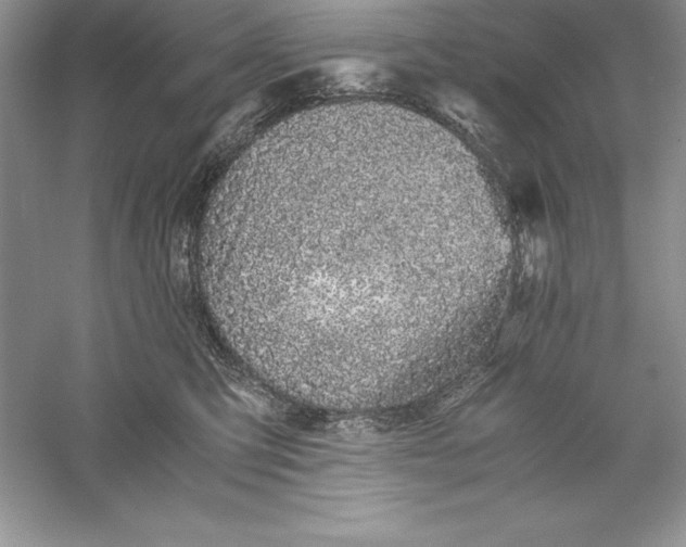 X0000055980423200509091958