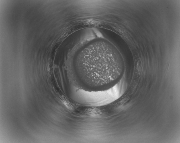 X0000055980424200509091958