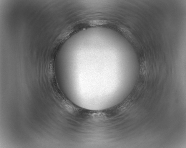 X0000055980426200509091958