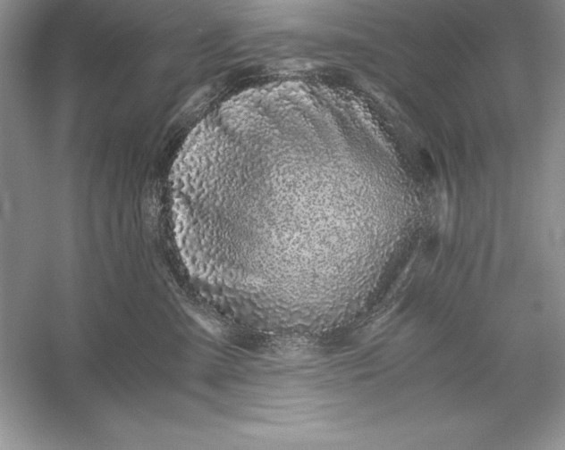 X0000055980427200509091958