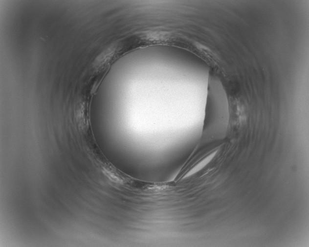 X0000055980428200509091958