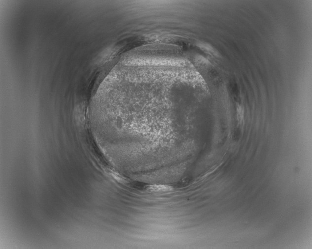 X0000055980429200509091958