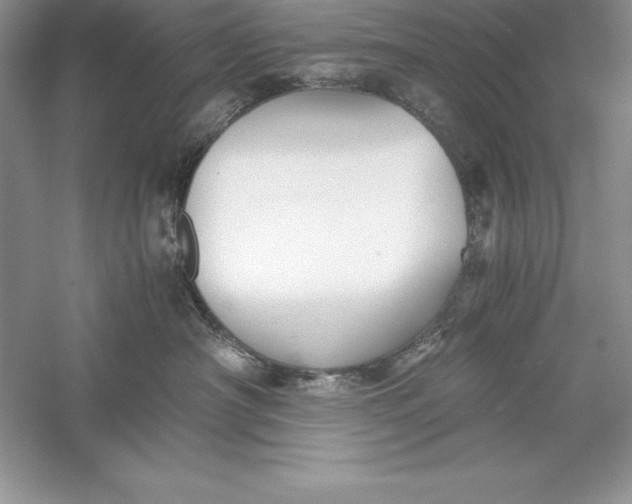 X0000055980430200509091958