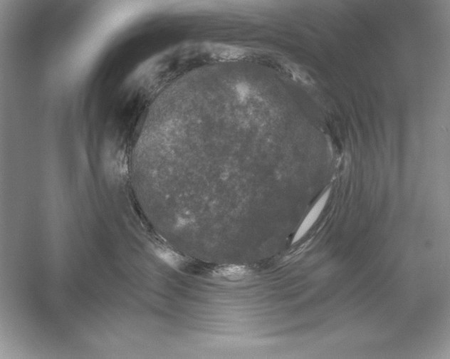 X0000055980431200509091958