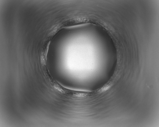 X0000055980432200509091958