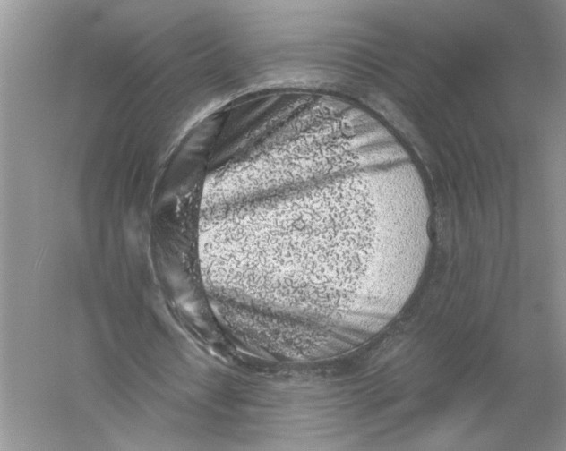 X0000055980434200509091957