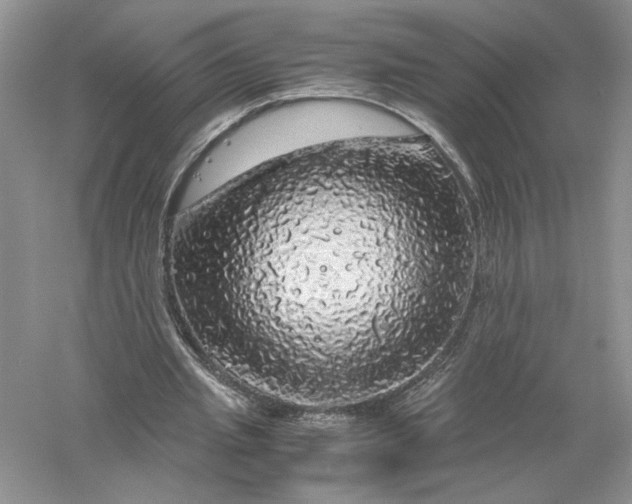 X0000055980437200509091957